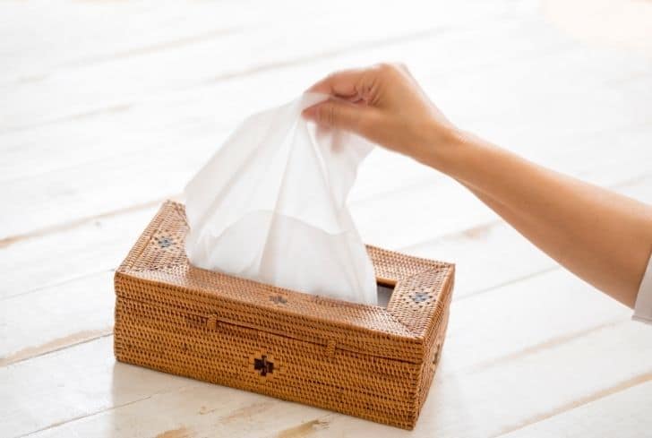 Is Tissue Paper Recyclable? (And Is It Compostable?) - Conserve